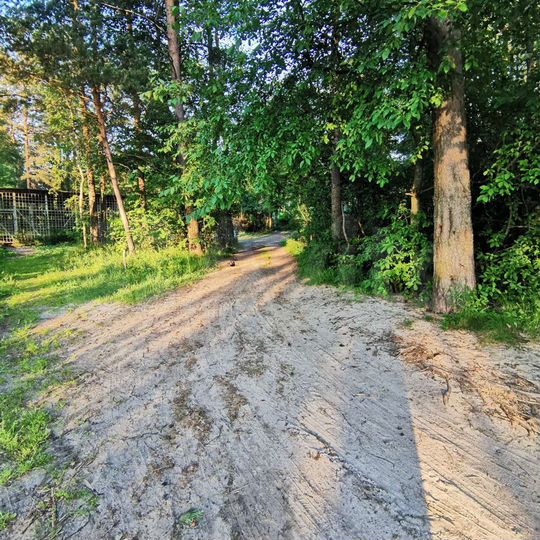 Участок 12 сот. (ИЖС)