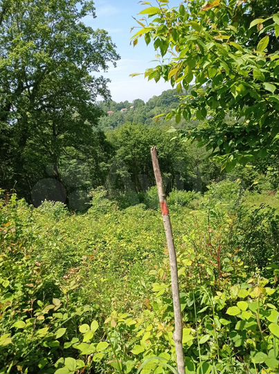 Участок 11 сот. (СНТ, ДНП)