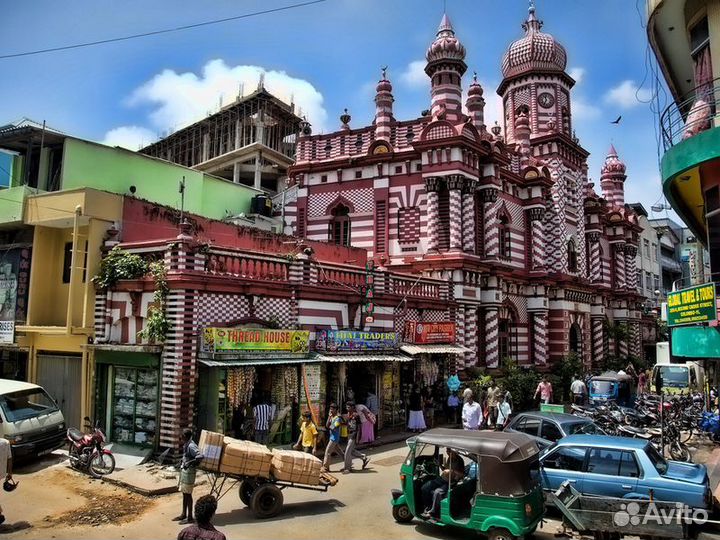 Экскурсия — Коломбо — Коломбо— Шри-Ланка вминиатюр