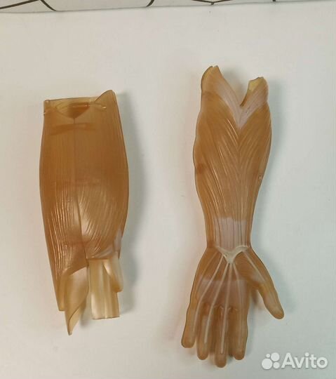 Скелет Артем по частям, журналы