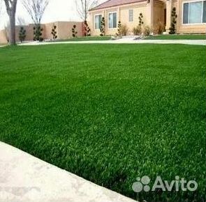 Укладка газона