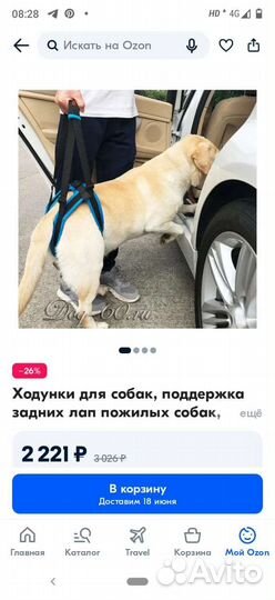 Поддержка для собак