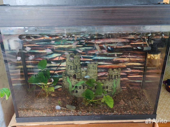 Аквариум 200л