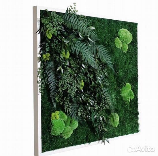 Стабилизированный мох.Панель из мха 60 см
