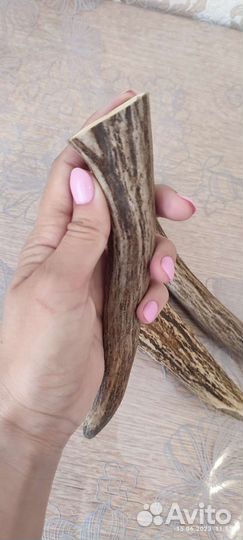 Лакомства для собак. Рога лося