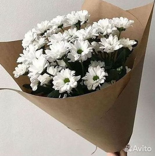 Хризантема Доставка цветов Букеты