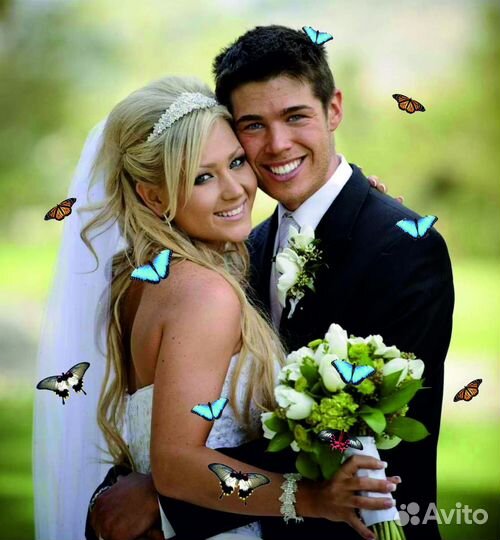 Салют из Живых Тропических Бабочек с/б-19