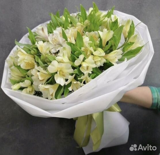 Альстромерия