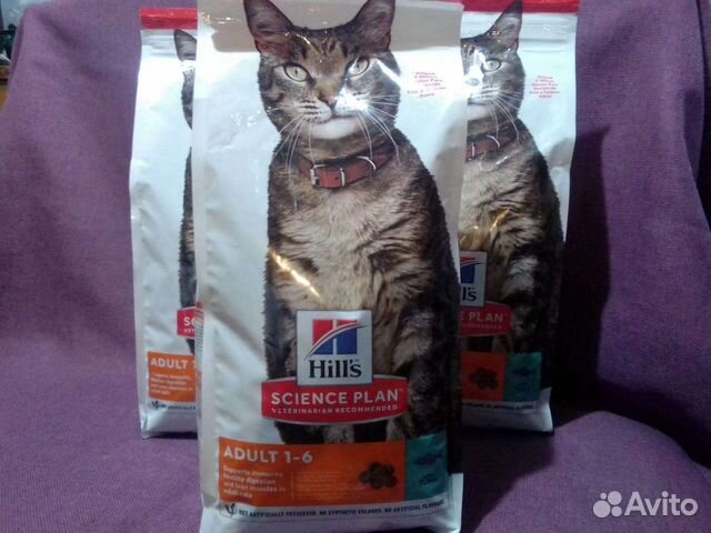 Сухой корм Hills для кошек (3 кг)