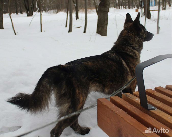 Юная девочка в добрые руки