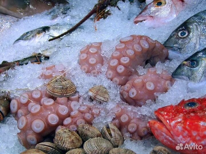 Купи франшизу рыбного магазина и зарабатывай