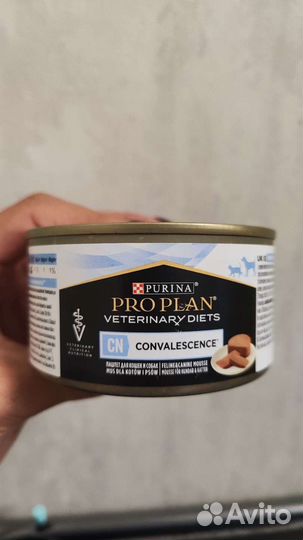 Корм для кошек