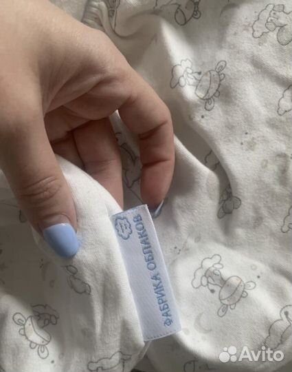 Кокон зевушка