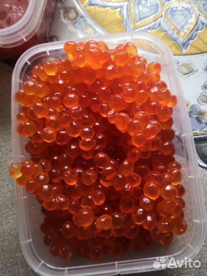 Красная икра 2023