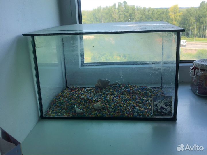 Аквариум 10л