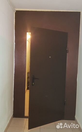 Тамбурная дверь