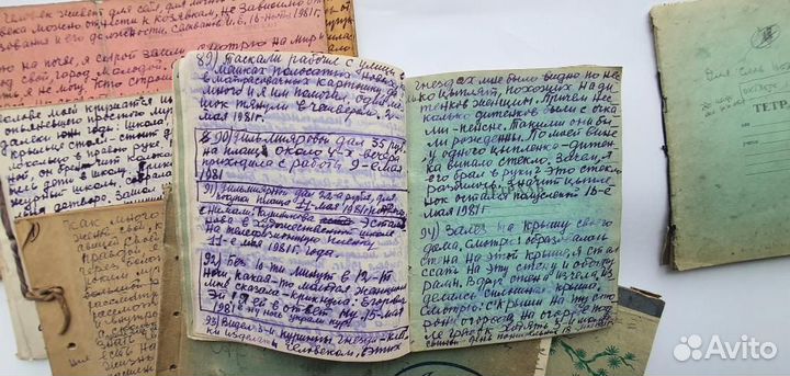 Дневники всемирно известного художника Селиванова