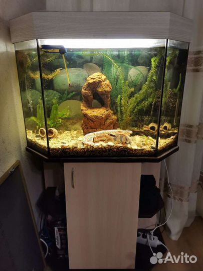 Аквариум