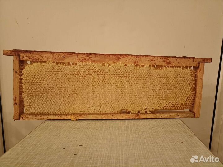 Мед натуральный