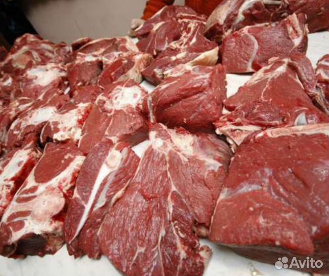 Продам мясо - конина