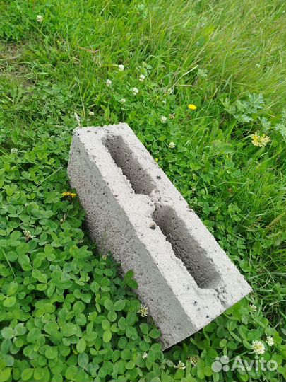 Керамзитоблоки стеновые