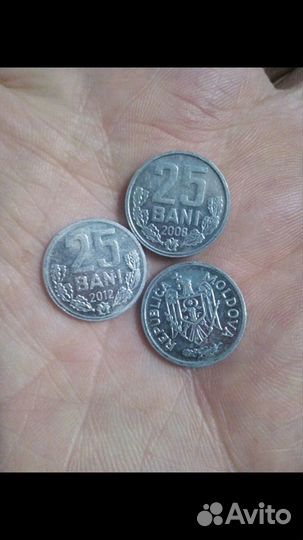 Молдавские монеты 25 Бани