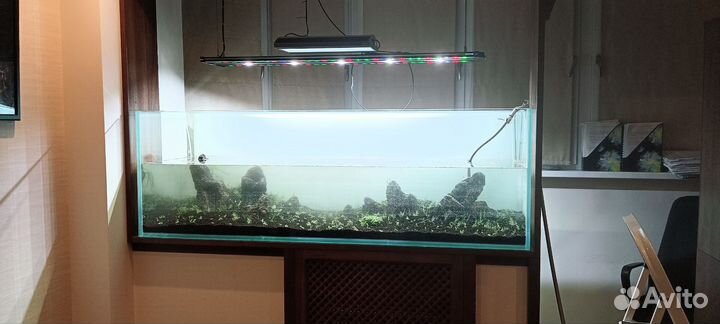 Обслуживание аквариумов. Оформление, перевозка