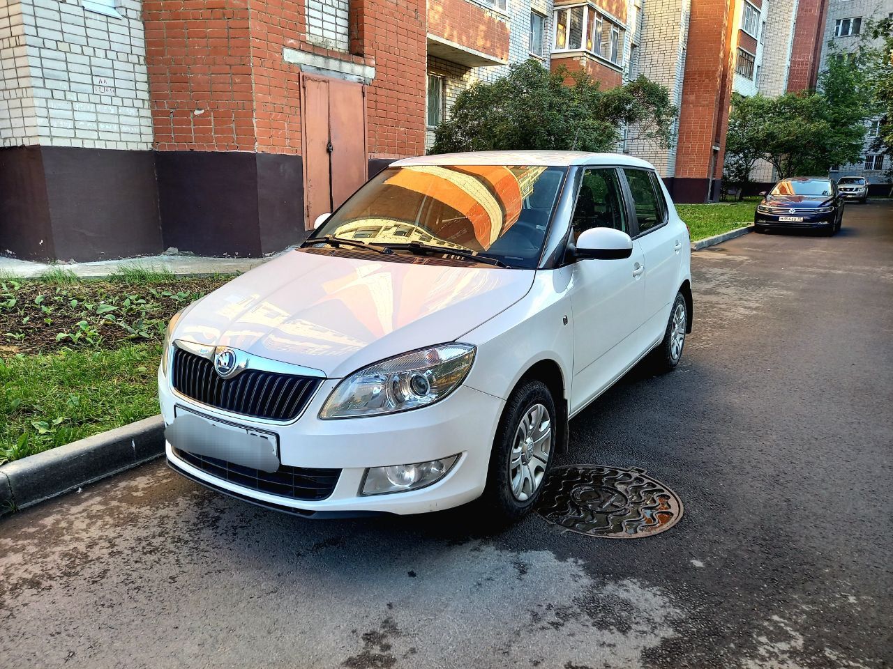 Skoda Fabia: фото владельца