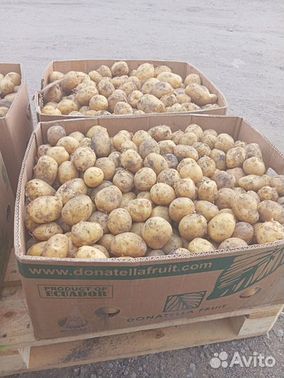 Продам картофель с доставкой