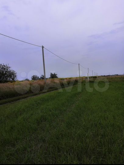 Участок 25 сот. (ИЖС)