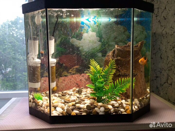 Аквариум