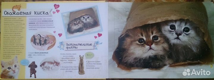Книжка-пазл о кошках
