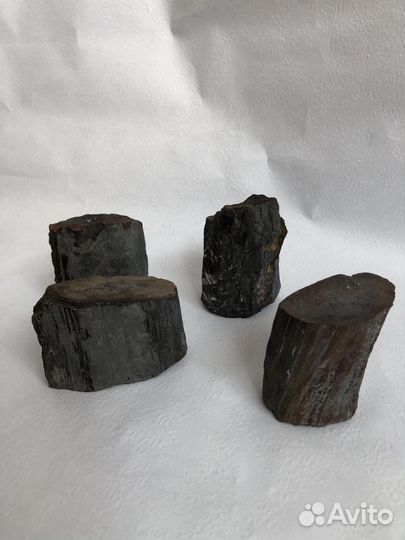 Окаменелое дерево