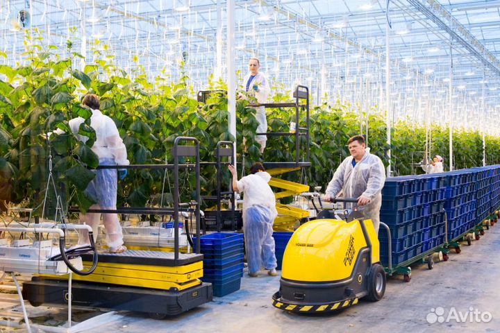 Разнорабочие в теплицы Челябинская область