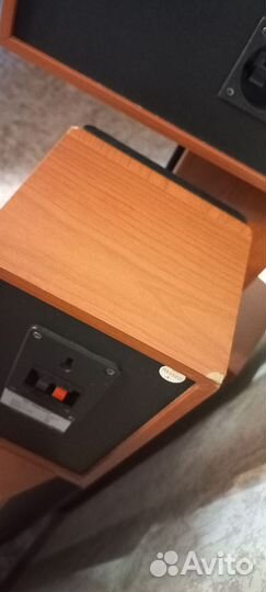 Акустика cortland s-200