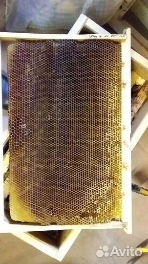 Рамки с сушью