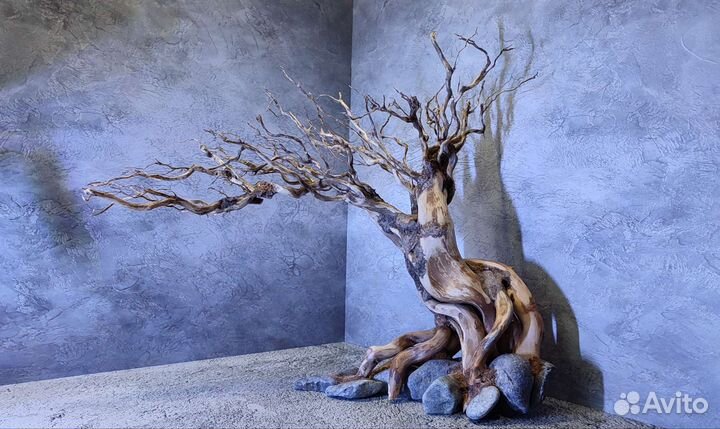 Коряги бонсай