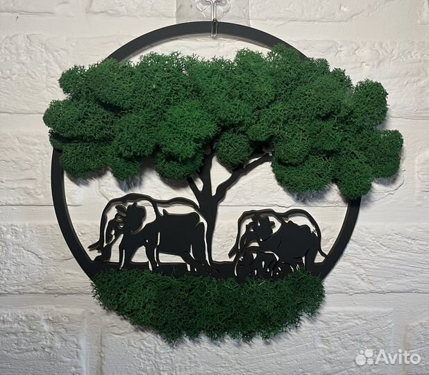 Панно из стабилизированного мха Африка, 3 шт