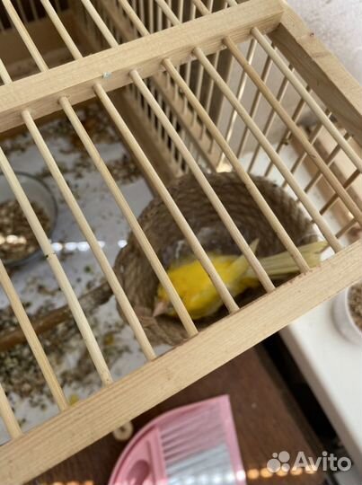 Гнездо для канареек, попугаев, гнёзда для птиц