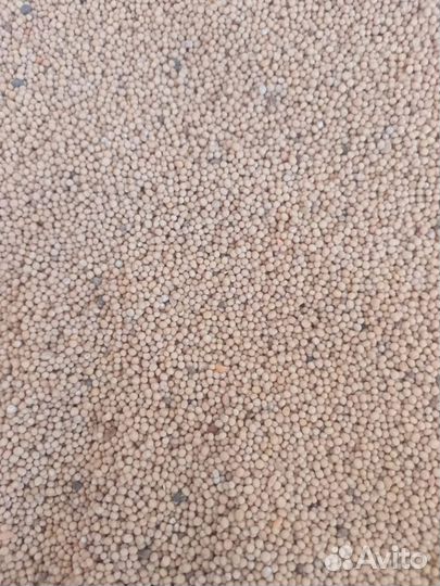 Сидераты горчица белая,гречиха,вика яровая