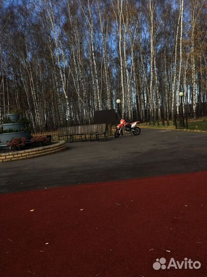 Apollo забронирован