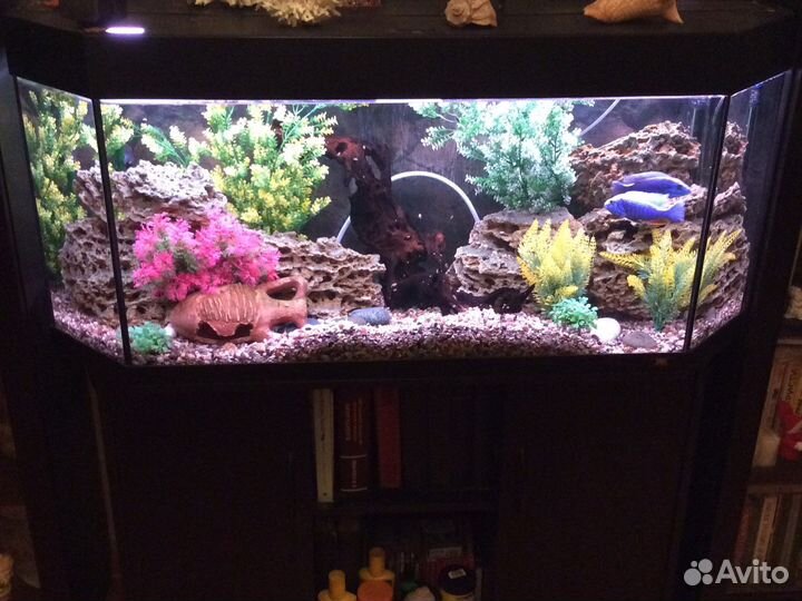 Аквариум