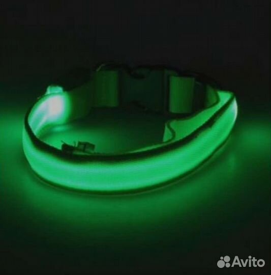 Светящийся ошейник