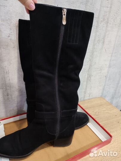 Сапоги женские демисезонные