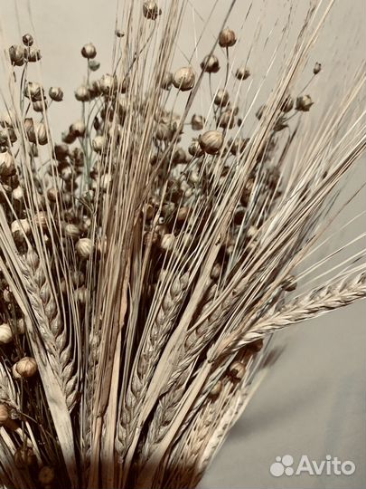 Композиции из сухоцветов