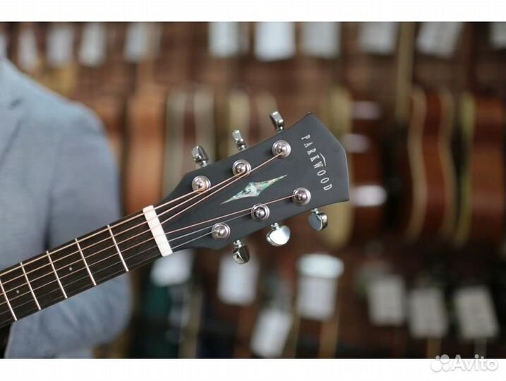 Parkwood S22M-NS с чехлом акустическая гитара