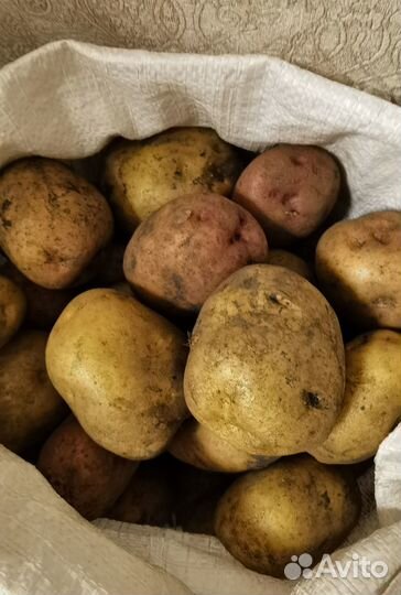 Продам картофель деревенский