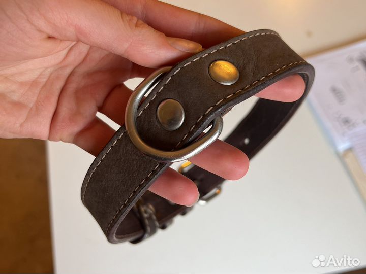 Ошейник для собак