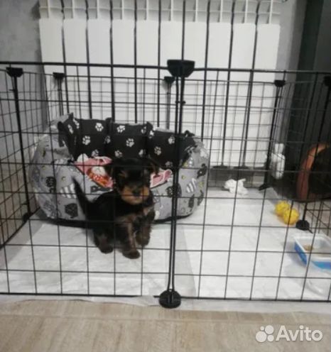 Вольер для собак