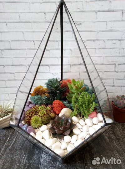 Подарки Флорариумы